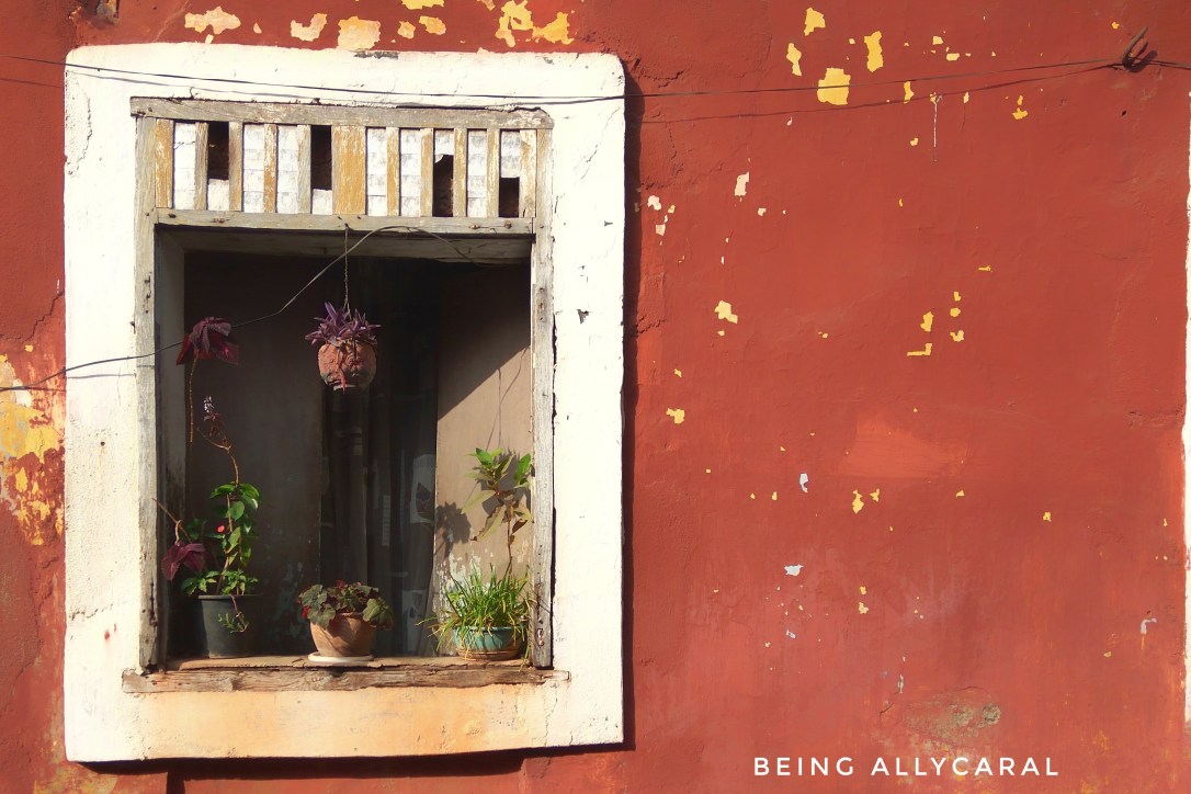 Windows and Colorful House of Goa