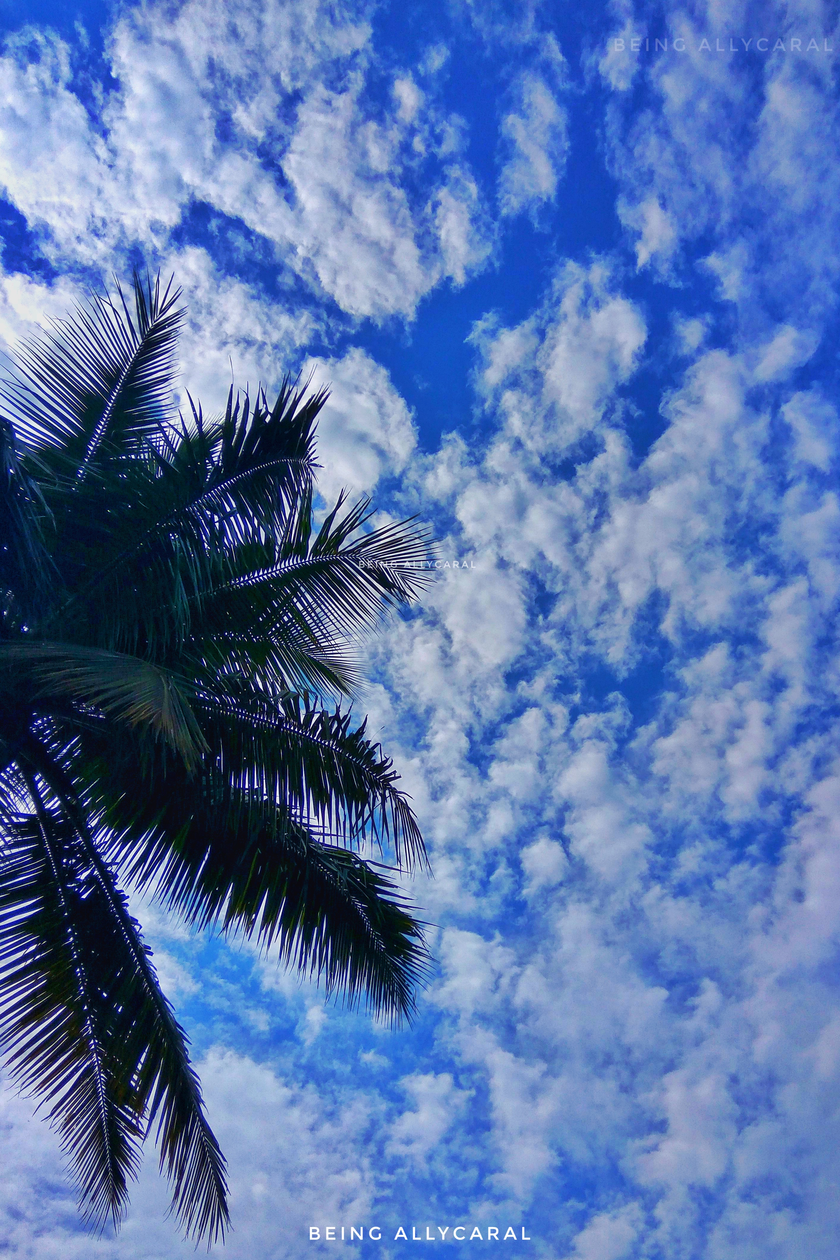 Goa, clouds and greenery